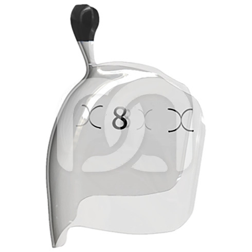 EVOLVE POSTERIOR MATRIX (25) EVOLVE POSTERIOR MATRIX (25)