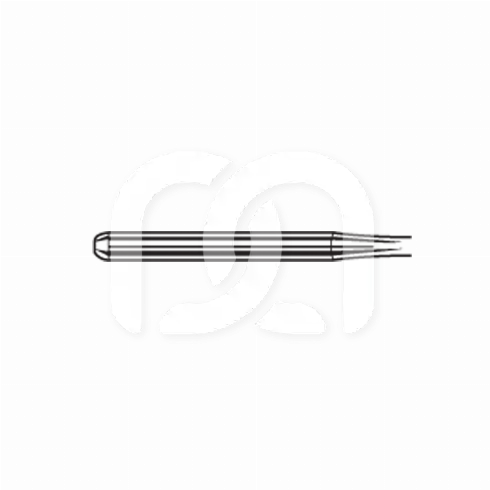 FRAISES ARKANSAS - 601