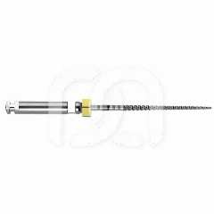 PROFILE (6) PROFILE (6)