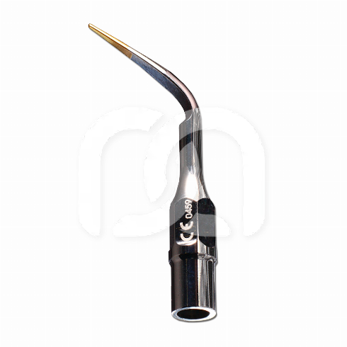 SCALERTIP SCORPION BEM
