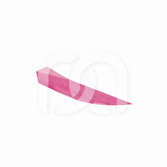 COINS INTERDENTAIRES ROSES (11MM) (1000) COINS INTERDENTAIRES ROSES (11MM) (1000)