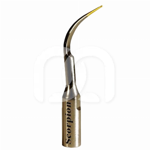 SCALERTIP SCORPION BEM
