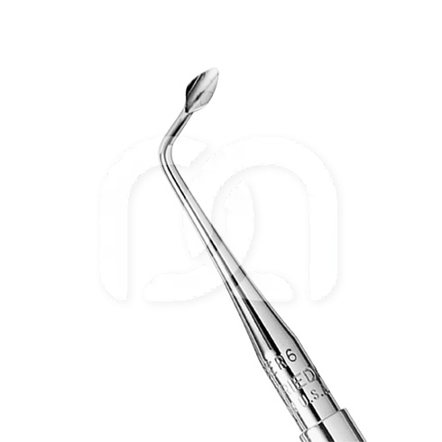 SYNDESMOTOME DE BERNARD DROITE
