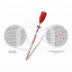 GUTTACORE  - BLISTER VAN 6 GUTTACORE
