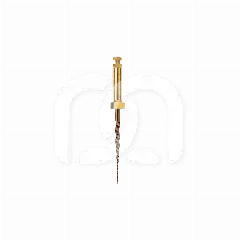 PROTAPER GOLD™ (6) PROTAPER GOLD™ (6)