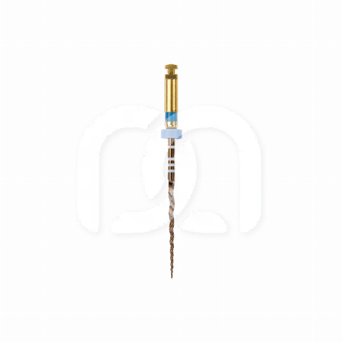 PROTAPER GOLD™ (6)
