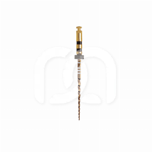 PROTAPER GOLD™ (6)
