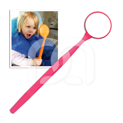 MEGA SPIEGEL - NEON ROOS