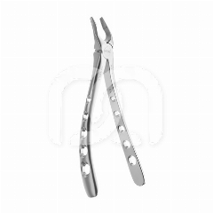 APICALE DIAMANT TANG

