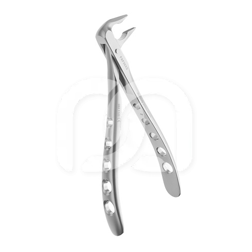 APICALE DIAMANT TANG
 APICALE DIAMANT TANG