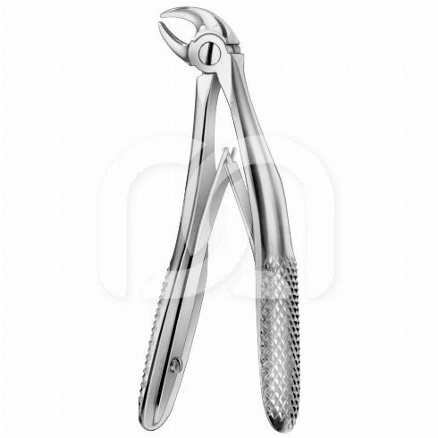 EXTRACTIETANG VOOR VOLWASSENEN - EXTRACTIETANG MET GERUITE KLEMMEN  EXTRACTIETANG VOOR VOLWASSENEN - EXTRACTIETANG MET GERUITE KLEMMEN