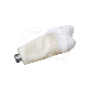 DENTS POUR MODEL FRASACO ANKA-4