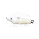 DENTS POUR MODEL FRASACO ANKA-4