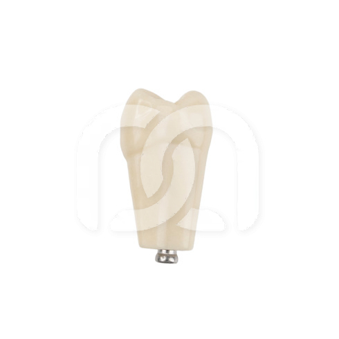 DENTS POUR MODÈLE FRASACO ANKA-4 DENTS POUR MODÈLE FRASACO ANKA-4