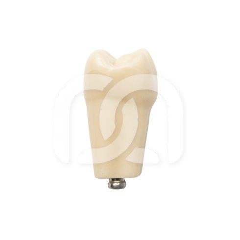 TAND VOOR MODEL FRASACO ANKA-4