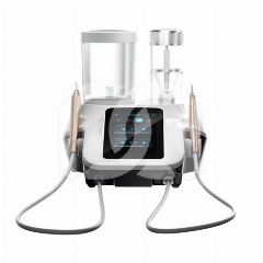 AEROPOLISSEUR EMS WOODPECKER