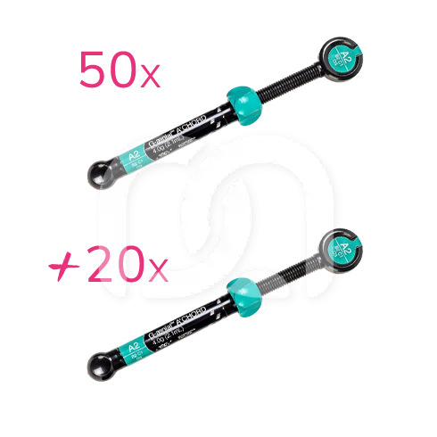 50 SERINGUES A'CHORD ACHETÉES + 20 INCLUSES