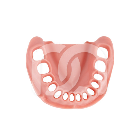 GENCIVE DE REMPLACEMENT POUR LA MÂCHOIRE TYPODONT ANA-4 OK ET ANKA-4 OK