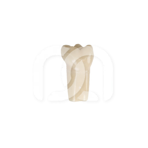 DENTS POUR MODÈLE FRASACO ANKA-4