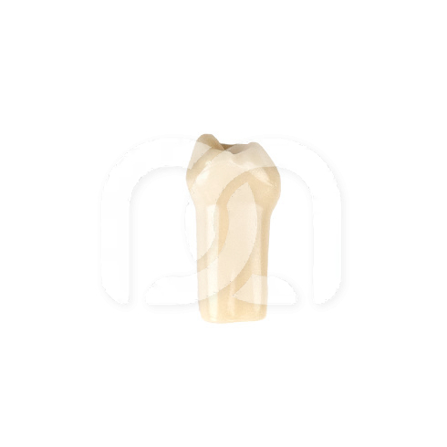 DENTS POUR MODÈLE FRASACO ANKA-4