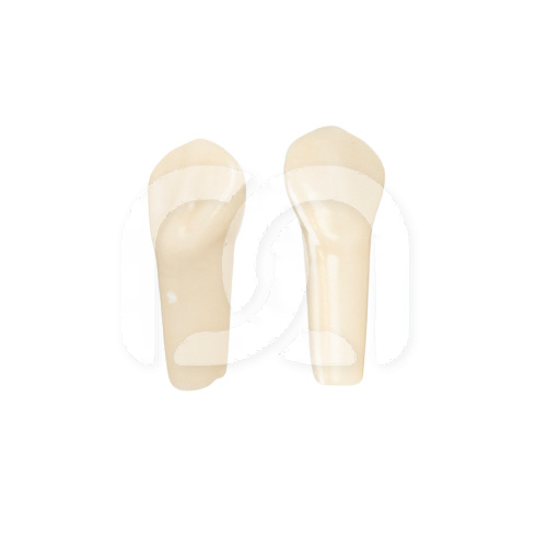 TANDEN VOOR FRASACO-MODEL AG-3