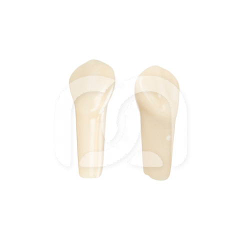 TANDEN VOOR FRASACO-MODEL AG-3