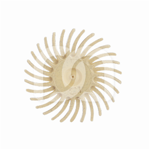 SOF-LEX SPIRALE (15)