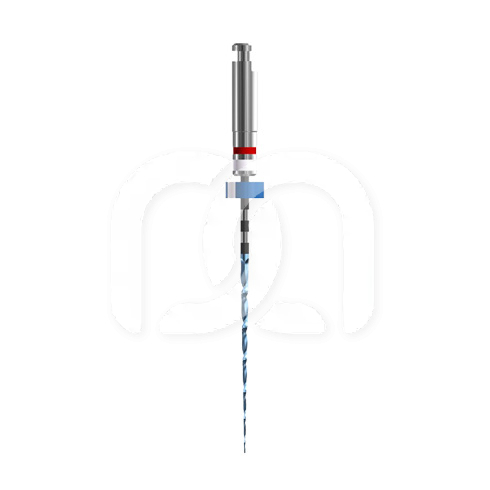 Endodontische Vijl RACE EVO 015/04.25 Mm (6)