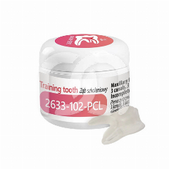 Oefentand voor Endodontie Bovenste Kies (1)