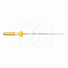 Endodontische Vijlen PathGlider 25mm 3% (6)