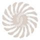 POL. COMPOS. CA 94028M.204.130 (10) : FORME FRAISE & POLISSOIR:ROUE, DIAM&Egrave;TRE:130 MM, GRAIN:FIN