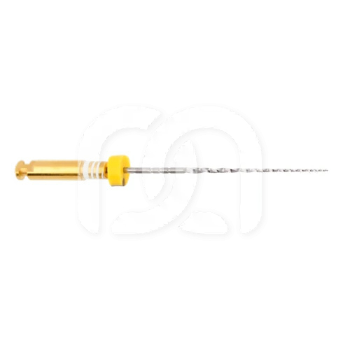 Endodontische Vijlen PathGlider 25mm 3% (6)