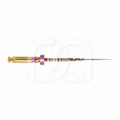 Limes ProTaper Gold Shaping File Stériles (6)