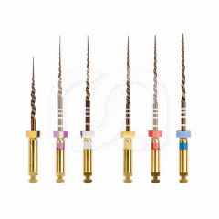 Limes ProTaper Gold Assortiment SX-F3 (6)