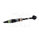 Composite Tetric Prime Universel (1 x 3 g) : TEINTE:A3,5