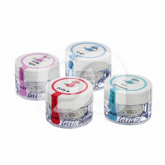 Poudre Céramique Dentin Initial IQ ONE SQIN (10g)