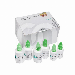 Kit d'Introduction Initial Zr Coloring Liquid (250g)