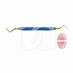 Curette Gracey 17-18 Postérieur Distal (1)