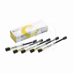 Composite Brilliant EverGlow Pack Éco (5 x 3g)