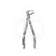 Davier Apical Atraumair pour Extraction Dentaire (1) : N&deg;:N&deg;FAF36XS, STRI&Eacute;:STRI&Eacute;, GENRE:ADULTE