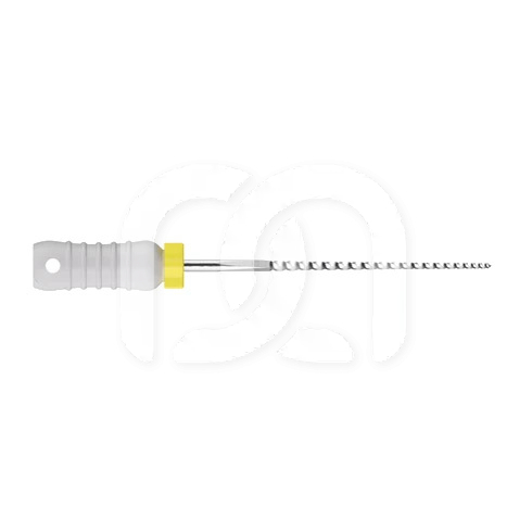 Limes K Manuelles d'Endodontie 21 mm (6)