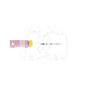 Handmatige K-Vijlen Voor Endodontie 21 mm (6) : N&deg;:N&deg;6, LENGTE:31 MM