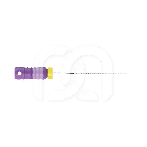Handmatige K-Vijlen Voor Endodontie 21 mm (6)