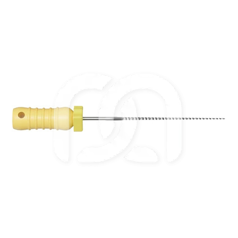 Limes K Manuelles d'Endodontie 21 mm (6)