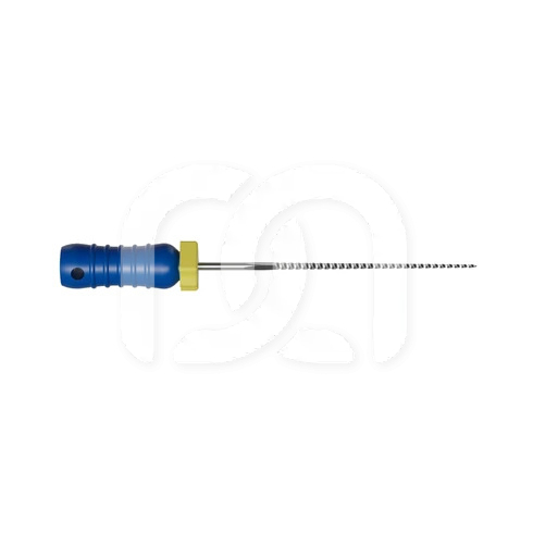 Limes K Manuelles d'Endodontie 21 mm (6)