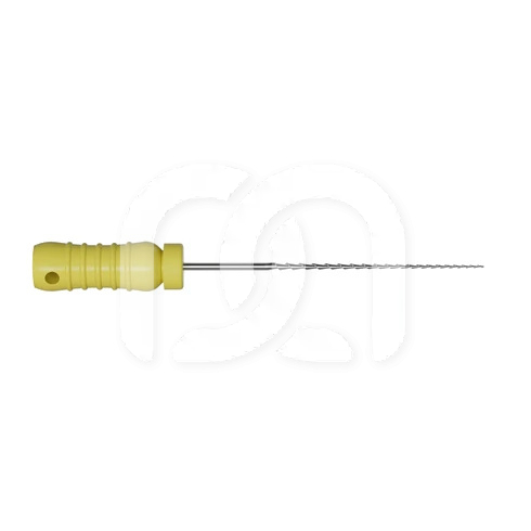 Racleurs Endodontiques Longueur 21 mm (6)