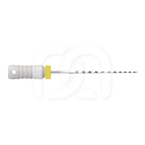 Broches Endodontiques Manuelles Long. 21 mm (6)