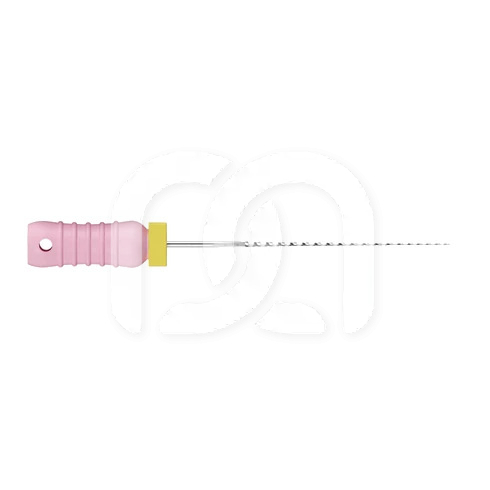 Reamers Endodontisch Manueel Lengte 21 mm (6)