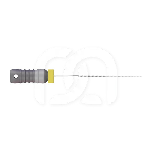 Reamers Endodontisch Manueel Lengte 21 mm (6)