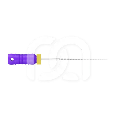 Broches Endodontiques Manuelles Long. 21 mm (6)